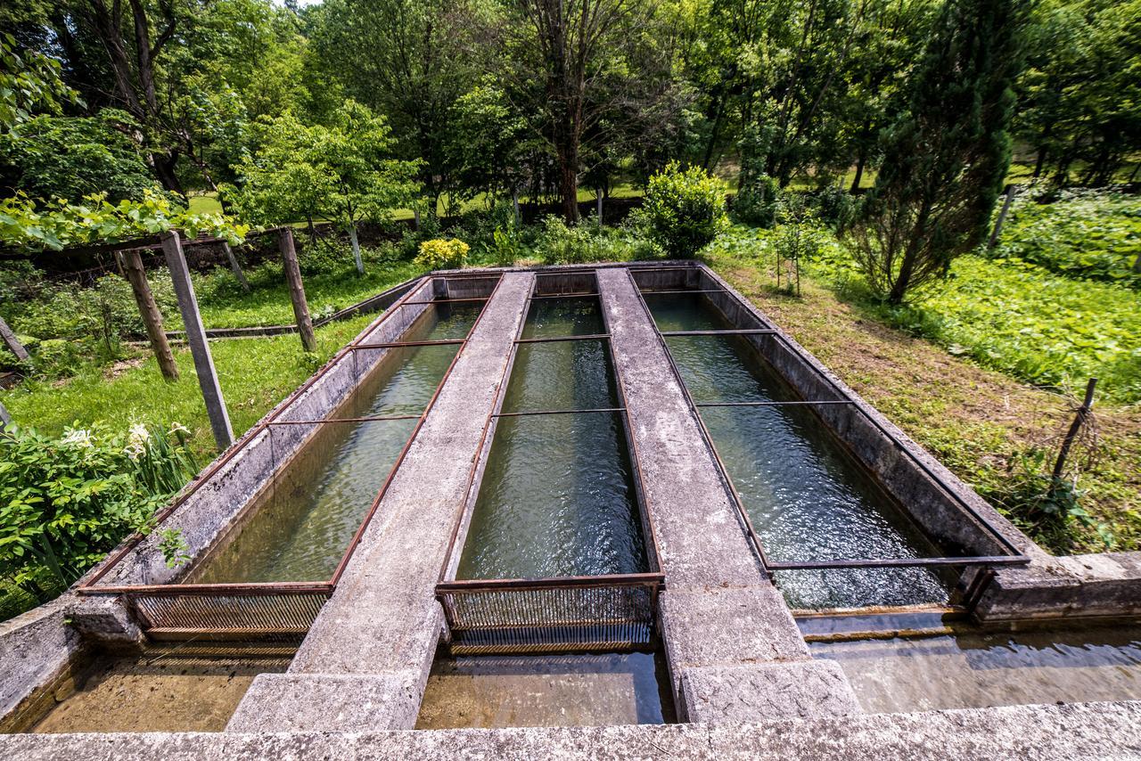 Eko House Dobrenica Villa Bihać Eksteriør bilde