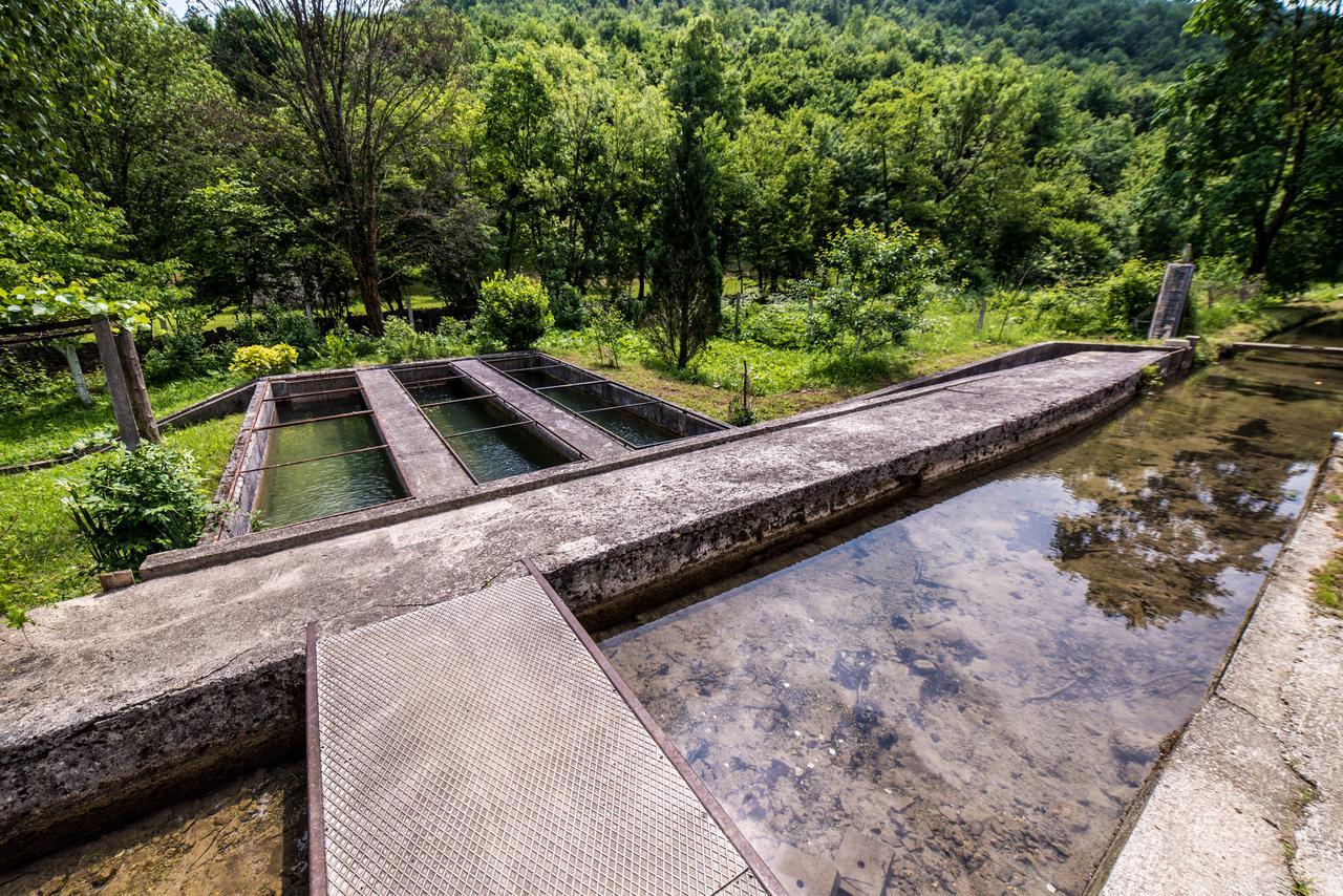 Eko House Dobrenica Villa Bihać Eksteriør bilde
