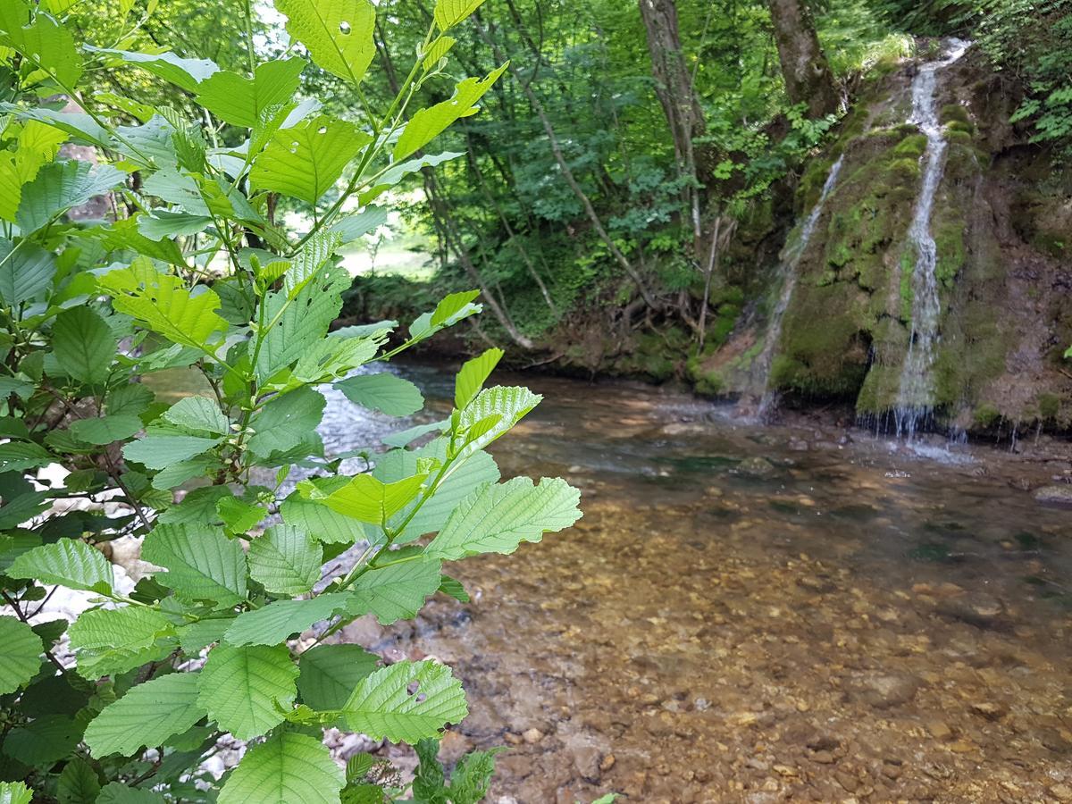 Eko House Dobrenica Villa Bihać Eksteriør bilde